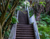 Glenn-E-Jones-Gallery-The Accidenta-Tourist-in-San-Francisco-15