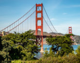 Glenn-E-Jones-Gallery-The Accidenta-Tourist-in-San-Francisco-20