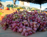 Glenn-E-Jones-Gallery-The Accidenta-Tourist-in-San-Francisco-6