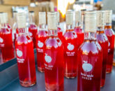 Glenn-E-Jones-Gallery-The Accidenta-Tourist-in-San-Francisco-7