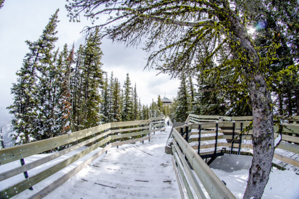 Glen-E.Jones-Photography-Alberta-Banff-Lake-Louise-23
