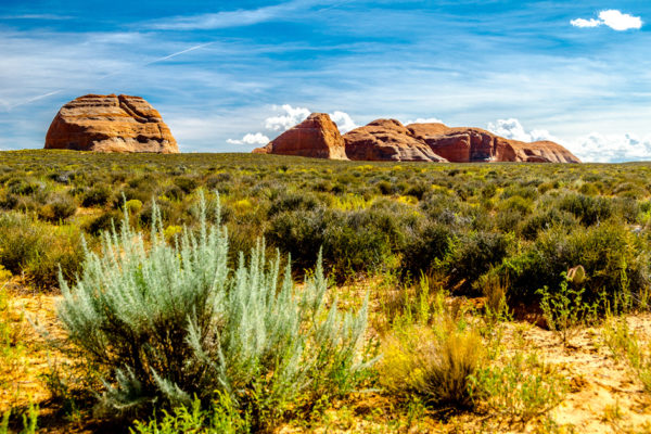 Glen-E.Jones-Photography-Arizona-9
