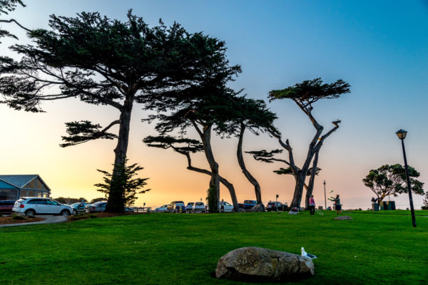 Glen-E.Jones-Photography-Pacific-Coast-Highway-3