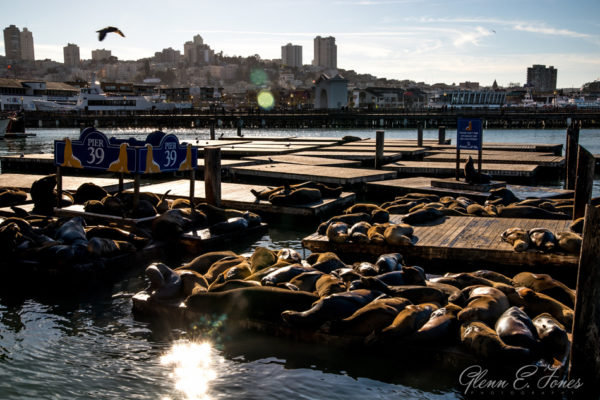 Glen-E.Jones-Photography-San-Francisco10