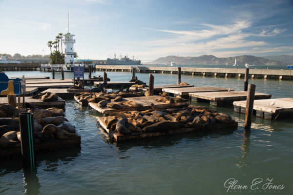Glen-E.Jones-Photography-San-Francisco12