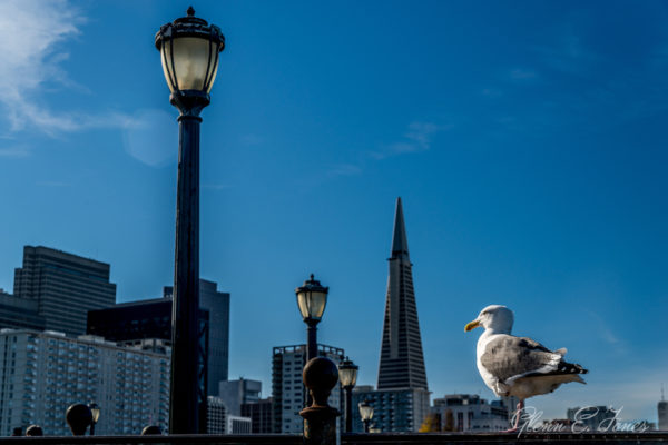 Glen-E.Jones-Photography-San-Francisco8