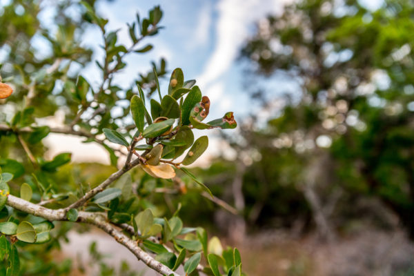 Glen-E.Jones-Photography-Texas-8