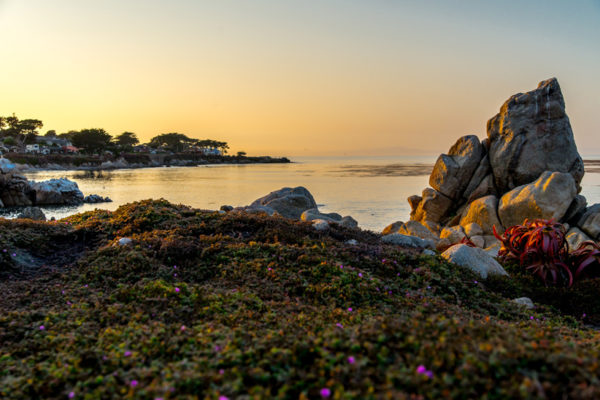 Glenn-E-Jones-Gallery-The Pacific-Coast-Highway-4