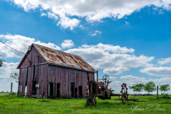 Glenn-E-Jones-Gallery-Bluebonnet-12