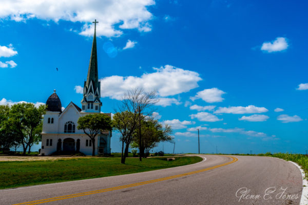 Glenn-E-Jones-Gallery-Bluebonnet-13