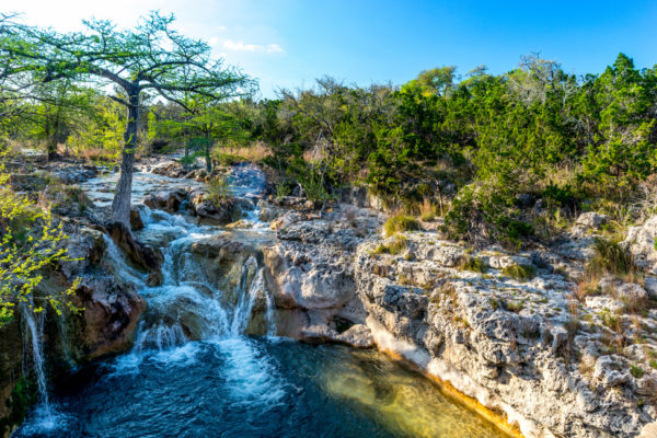 Glenn-E-Jones-Gallery-Bluebonnet-14