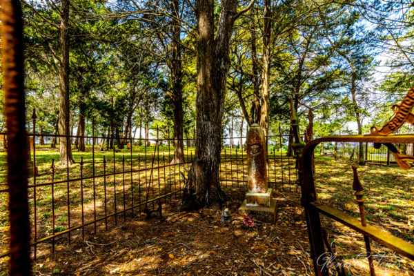 Glenn-E-Jones-Gallery-Bluebonnet-8