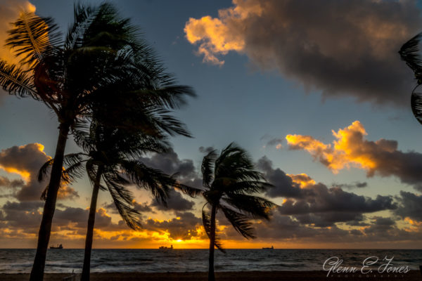 Glenn-E-Jones-Gallery-Florida-12