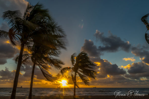 Glenn-E-Jones-Gallery-Florida-13