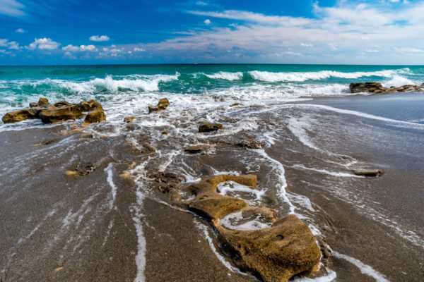 Glenn-E-Jones-Gallery-Florida-19