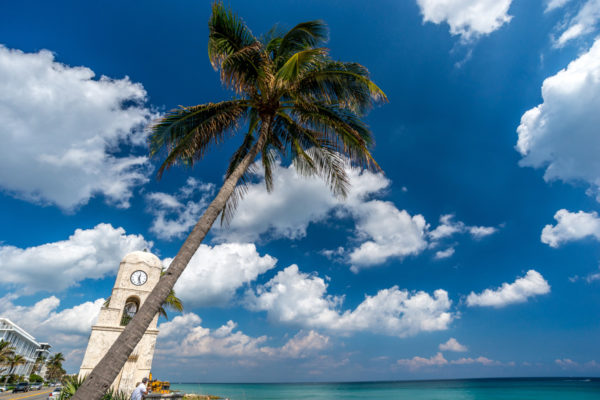 Glenn-E-Jones-Gallery-Florida-20