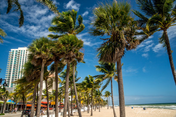 Glenn-E-Jones-Gallery-Florida-7