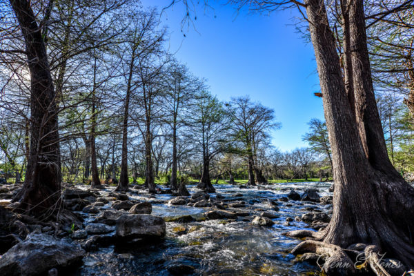 Glenn-E-Jones-Gallery-Gruene-1