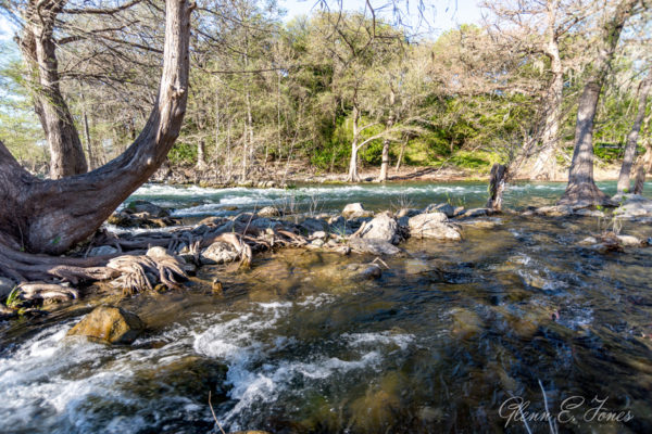 Glenn-E-Jones-Gallery-Gruene-2