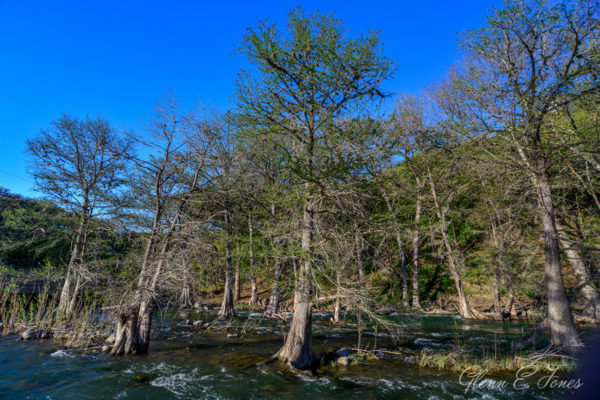 Glenn-E-Jones-Gallery-Gruene-4