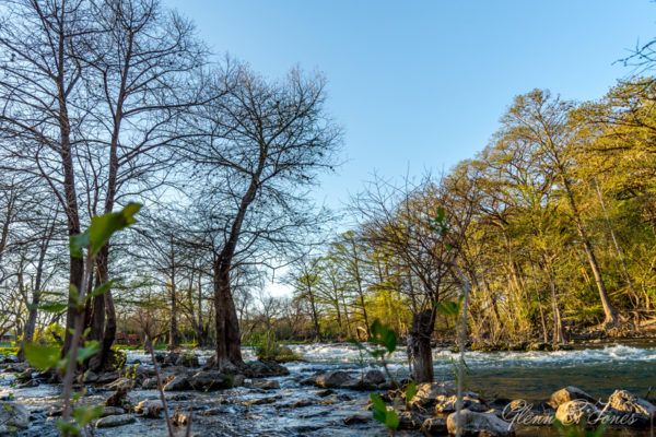Glenn-E-Jones-Gallery-Gruene-6
