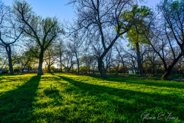 Glenn-E-Jones-Gallery-Gruene-7