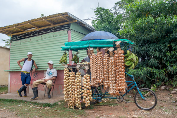 Mobile Fruit Stand