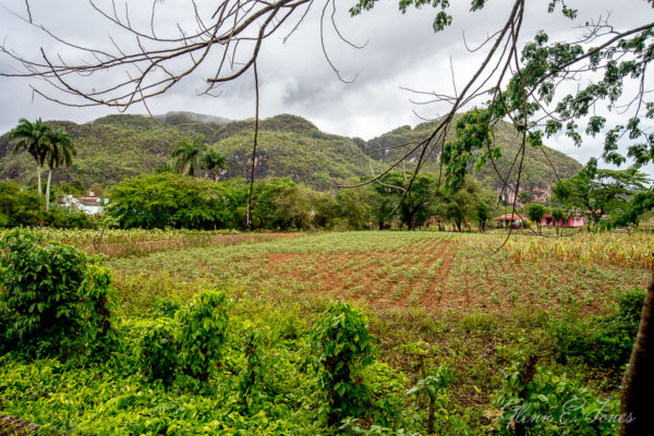 View of the Mountains
