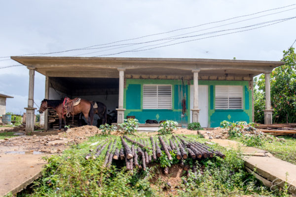 Glenn-E-Jones-Gallery-Real-Cuba-Vinales-13