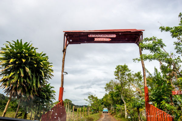Glenn-E-Jones-Gallery-Real-Cuba-Vinales-14