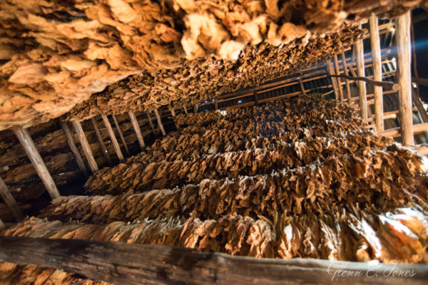 Glenn-E-Jones-Gallery-Real-Cuba-Vinales-15
