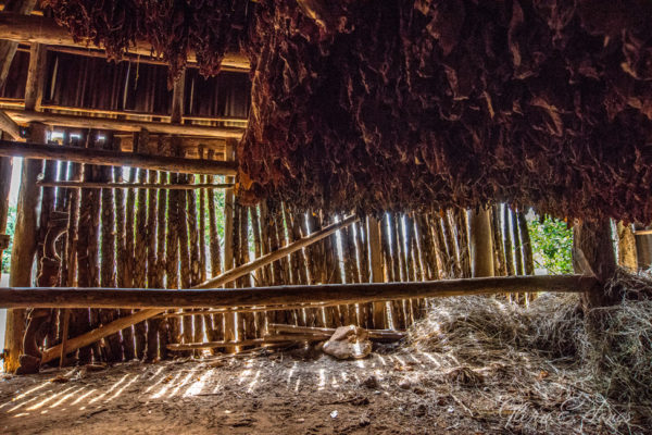 Glenn-E-Jones-Gallery-Real-Cuba-Vinales-16
