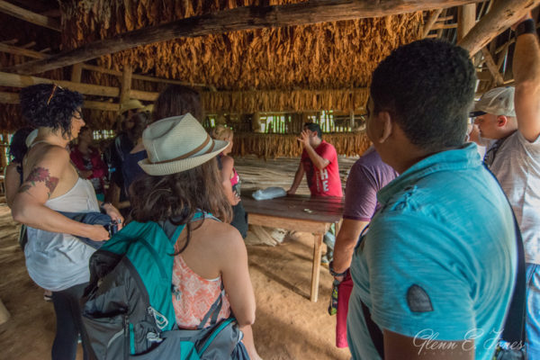 Glenn-E-Jones-Gallery-Real-Cuba-Vinales-17
