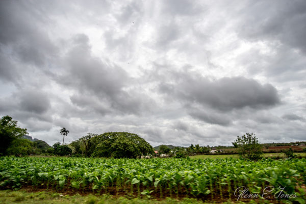 Glenn-E-Jones-Gallery-Real-Cuba-Vinales-6