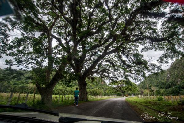 Glenn-E-Jones-Gallery-Real-Cuba-Vinales-8