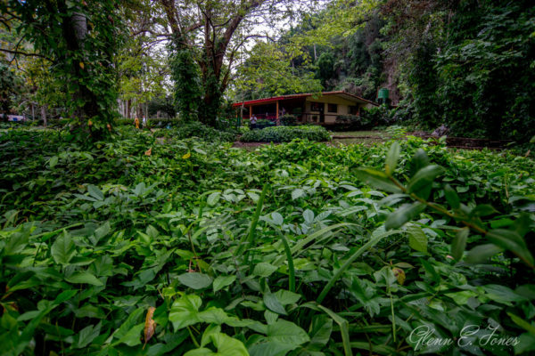 Glenn-E-Jones-Gallery-Real-Cuba-Vinales-9