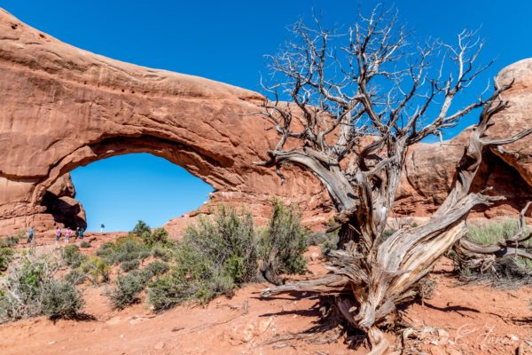 Arches_National_Park_13