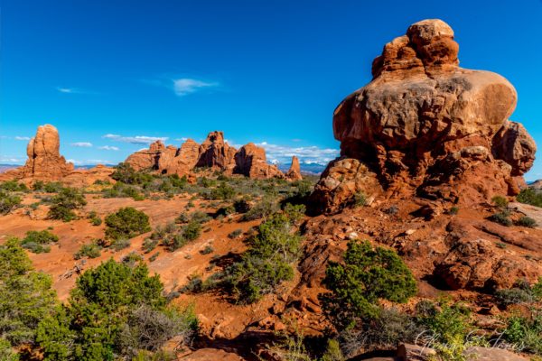 Arches_National_Park_14