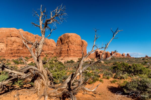 Arches_National_Park_16