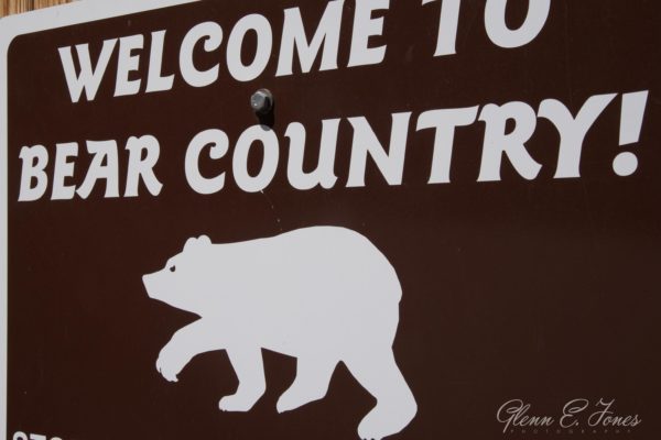 Arches_National_Park_24