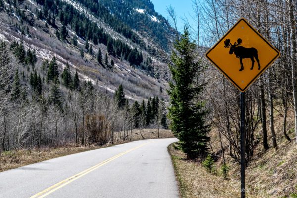 Arches_National_Park_25