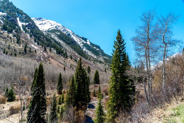 Arches_National_Park_26