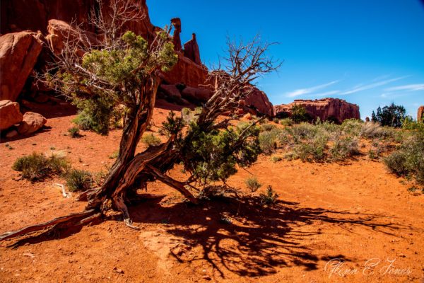 Arches_National_Park_3