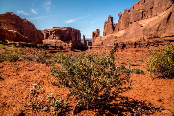 Arches_National_Park_4
