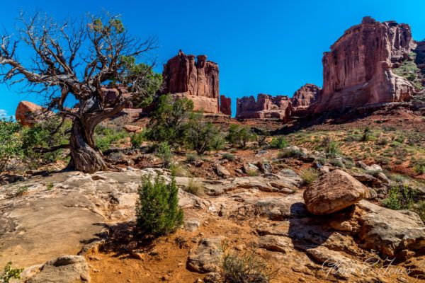 Arches_National_Park_7