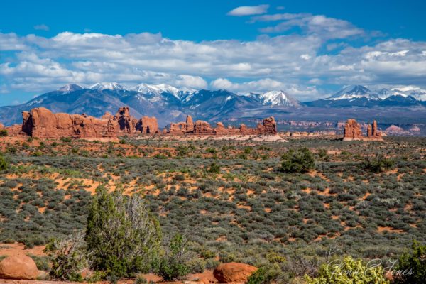 Arches_National_Park_9