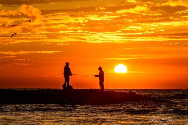 Stories from the Coast
